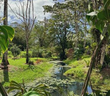 Aguas Zarcas Apartamento | Casa de Campo Riachuelo Verde