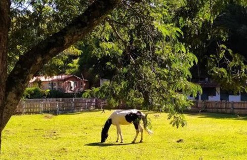 Engenheiro Paulo de Frontin Casa | Casa de Campo: Sítio Santa Helena-Mendes RJ