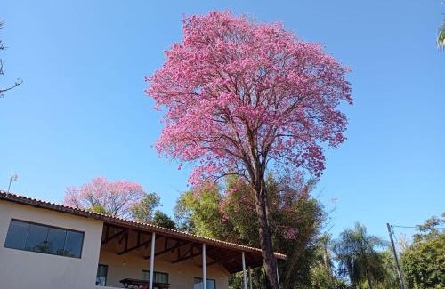 Guaira Casa | Casa de Campo Tio Mário