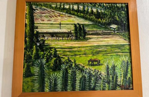 Vicuna Casa | Casa de descanso, Diaguitas