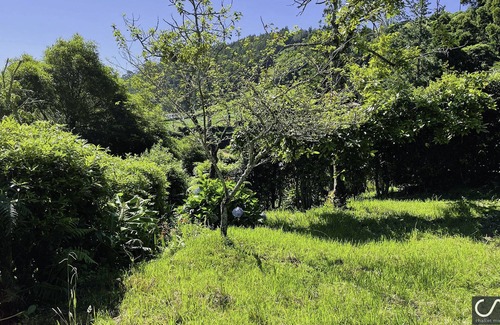 Furnas Chalet De Esquí | Casa de Férias Familiar