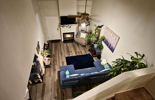 Westminster Casa | Casa de gato
