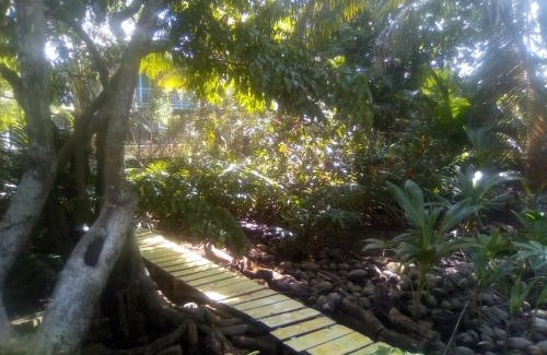Isla de Utila Apartamento | casa de huéspedes selvatica