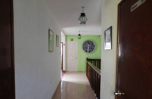 León Casa | Casona Luciernaga
