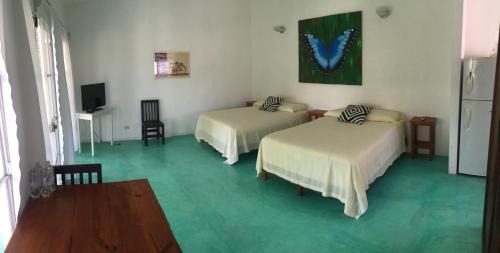 Tlacotalpan Apartamento | Casa de la Luz - Studio Apartment