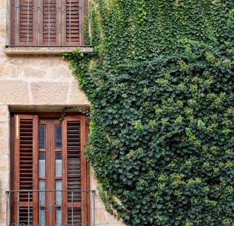 Calaceite Casa | Casa de la Neveria