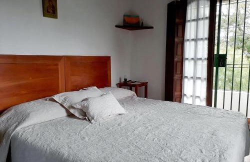 Yerba Buena Cama Y Desayuno | Casa de las Palmeras