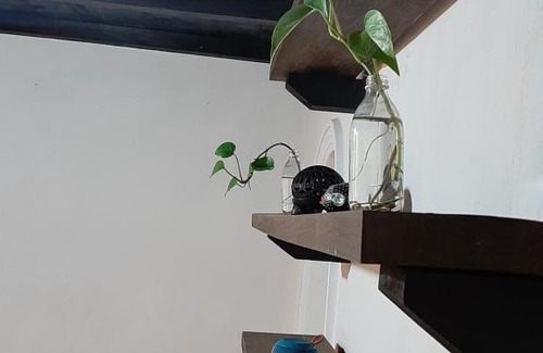 Barrio de Guadalupe Casa | Casa de Tlaly