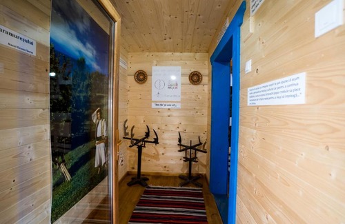 Viseu de Jos Casa | Casa de Parade-Traditional guesthouse