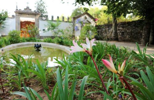 Refojos de Basto Casa | Casa de Piellas
