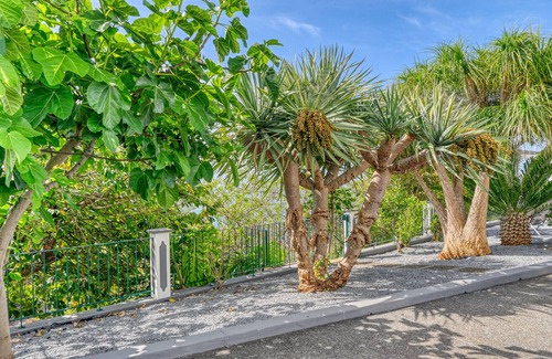 Canhas Cabaña | Casa de Ponte, a Home in Madeira