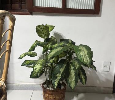 Palmeiras Casa | Casa de Praia em condomínio nas Palmeiras
