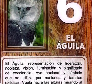 Las Tablas Casa | Casa de Quincha