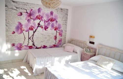 Coiron Casa | Casa de Torres