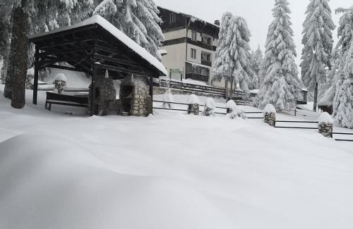Vartop Cabina | Casa de Vacanţă Vârtop