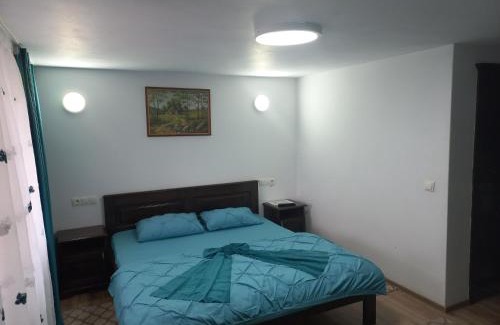 Colibita Casa | Casa de vacanță Perla Colibitei