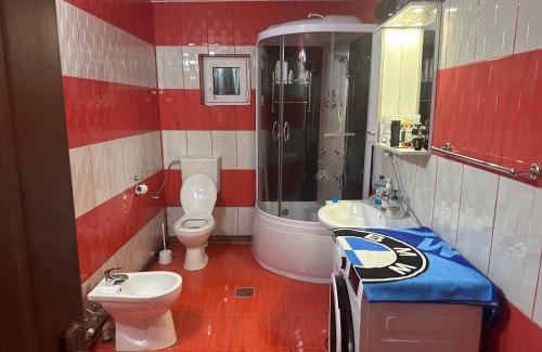 Vidra Otro | Casa de vacanța Ovy