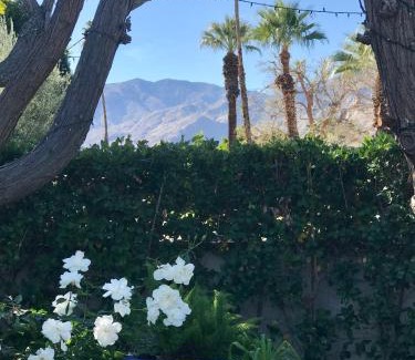 Palm Springs Casa | Casa De Vito