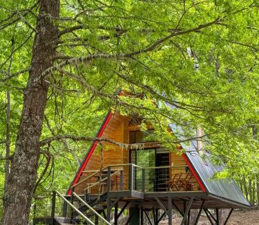 Curacautin Chalet De Esquí | Casa del Árbol - Malalcahuello