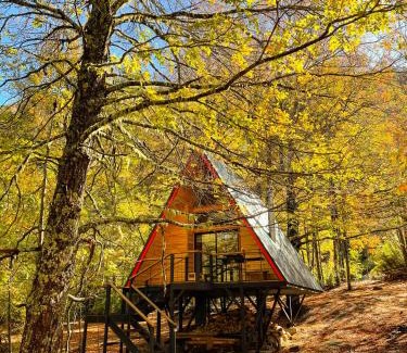 Curacautin Chalet De Esquí | Casa del Árbol - Malalcahuello
