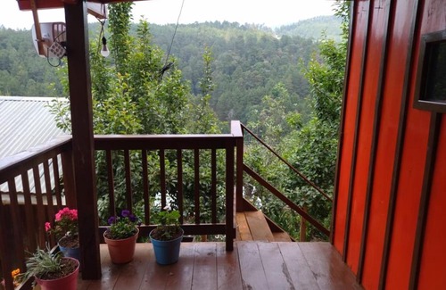 San Sebastián Río Hondo Casa | CASA DEL BOSQUE