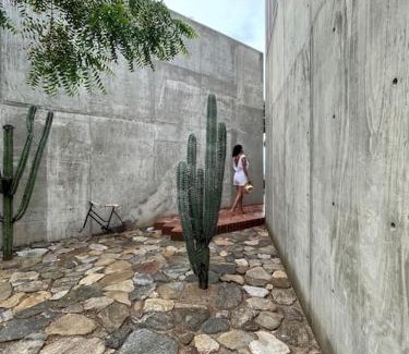 San Pedro Pochutla Villa | Casa del sapo