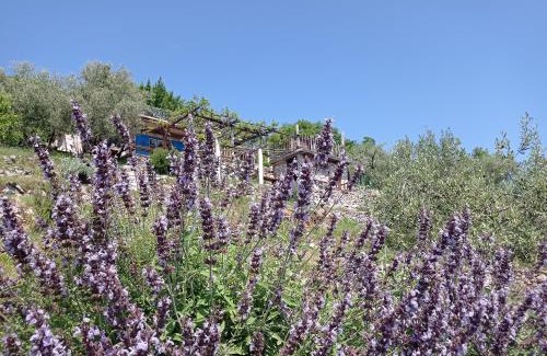 Mosenice Casa | Casa Delle Olive