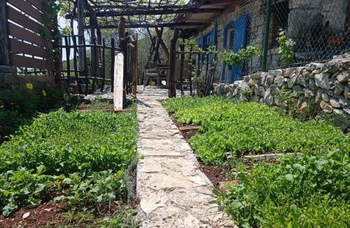 Mosenice Casa | Casa Delle Olive