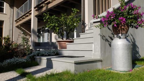 Val di Sur-San Michele Apartamento | Casa di Elisa