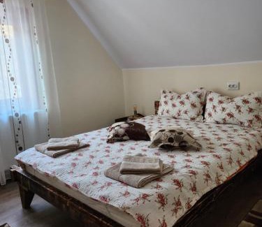 Toplita Casa | Casa din livadă - Cazare Măgheruș