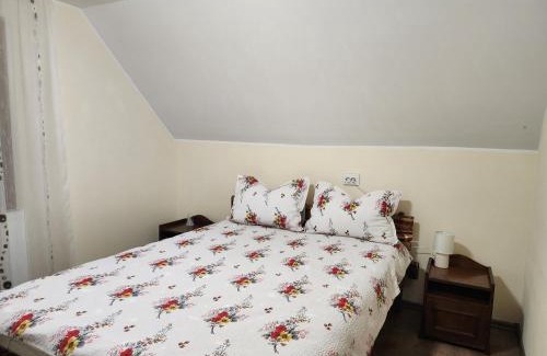 Toplita Casa | Casa din livadă - Cazare Măgheruș