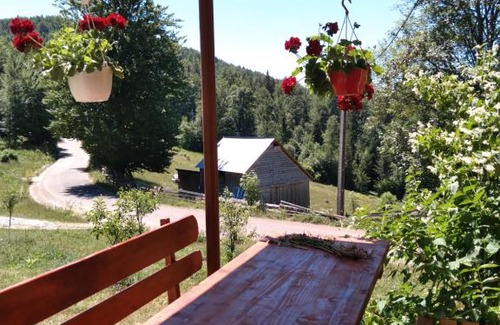 Garda de Sus Casa | Casa din Poiană