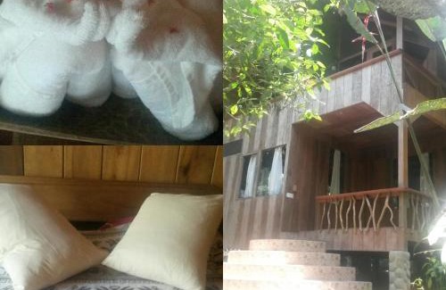 Mindo Cabina | Casa Divina Eco Lodge