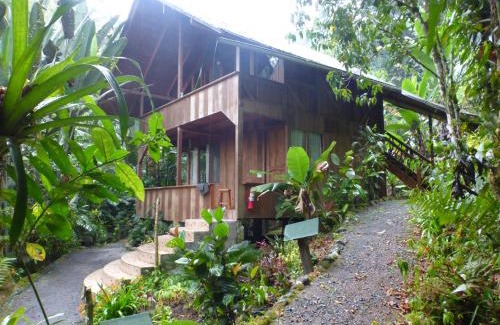 Mindo Cabina | Casa Divina Eco Lodge
