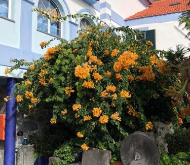 Velas Casa | Casa Do Antonio