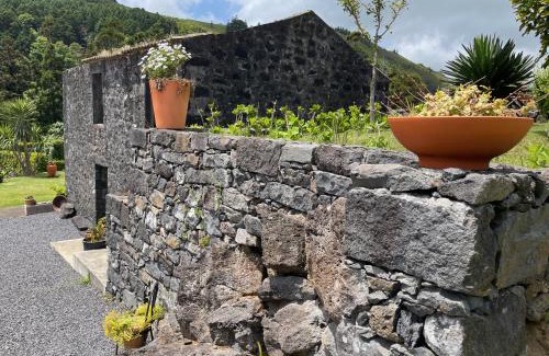 Horta Casa | Casa do Bicho Pau