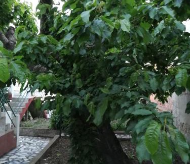 Tabuaco Casa | Casa do César Douro Guest House