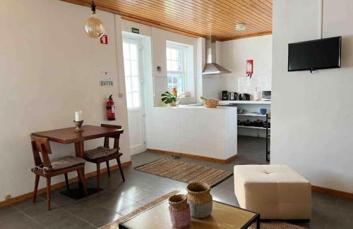 Madalena Apartamento | Casa do Cacto - 1 Bedroom Flat