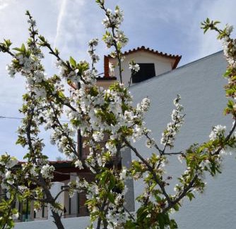 Gouveia Casa | Casa do Chão do Ribeiro