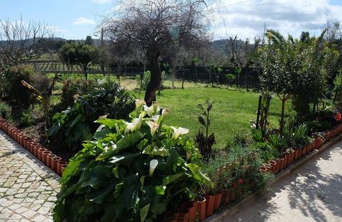 Tomar Casa | La casa de la zona de los olivos / Lombo isla.