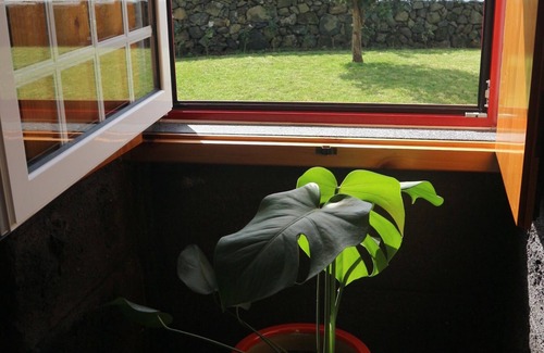 Angra do Heroismo Apartamento | Casa do Poço - Little house, located in the heart of a calm and rural village.