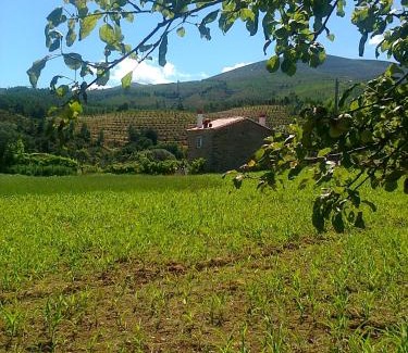 Fundao Casa | Casa Do Salgueiral