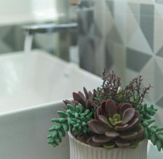 León Apartamento | Casa Dorada