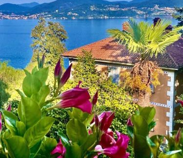 Gonte Apartamento | Casa Doris