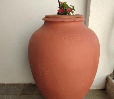Vidigueira Casa | Casa dos Avós