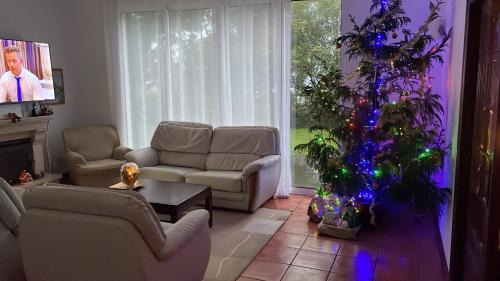 Ribeira Grande Casa | Casa dos Plátanos