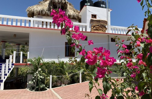 Puerto Ángel Apartamento | Casa El Delfin, 2nd Floor-Apt. 1 - Estacahuite