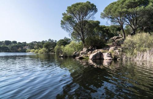 Las Jaras Casa | Casa el Refugio del Lago alojamiento rural