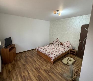 Ocna Sugatag Casa | Casa Eliza