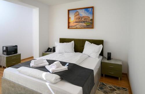 Bistrita Hotel | Casa EMA